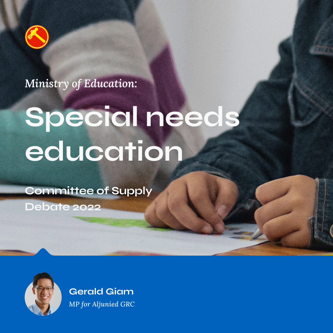 Special needs education