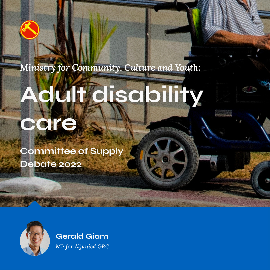 Adult disability care