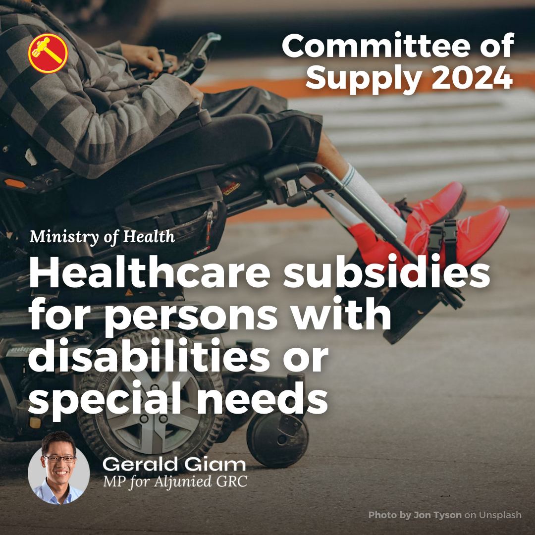 Healthcare subsidies for persons with disabilities