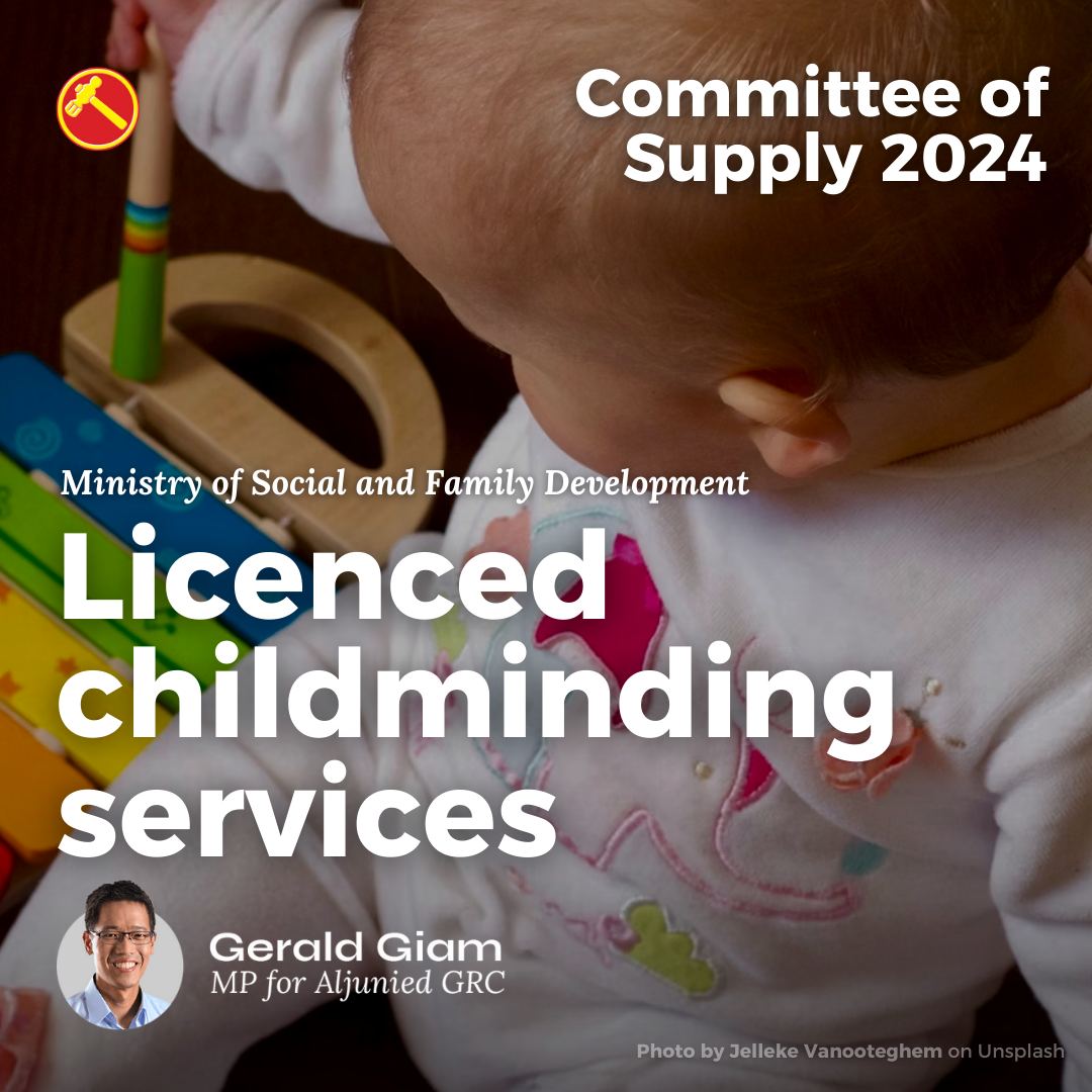 Licensed childminding services