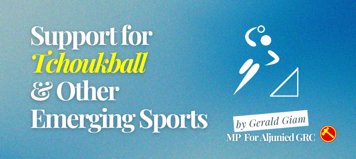 Support for tchoukball and other emerging sports